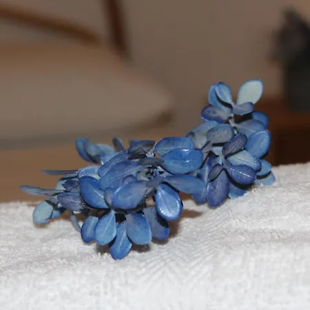 펜션 Casa Briseida 갈리폴리